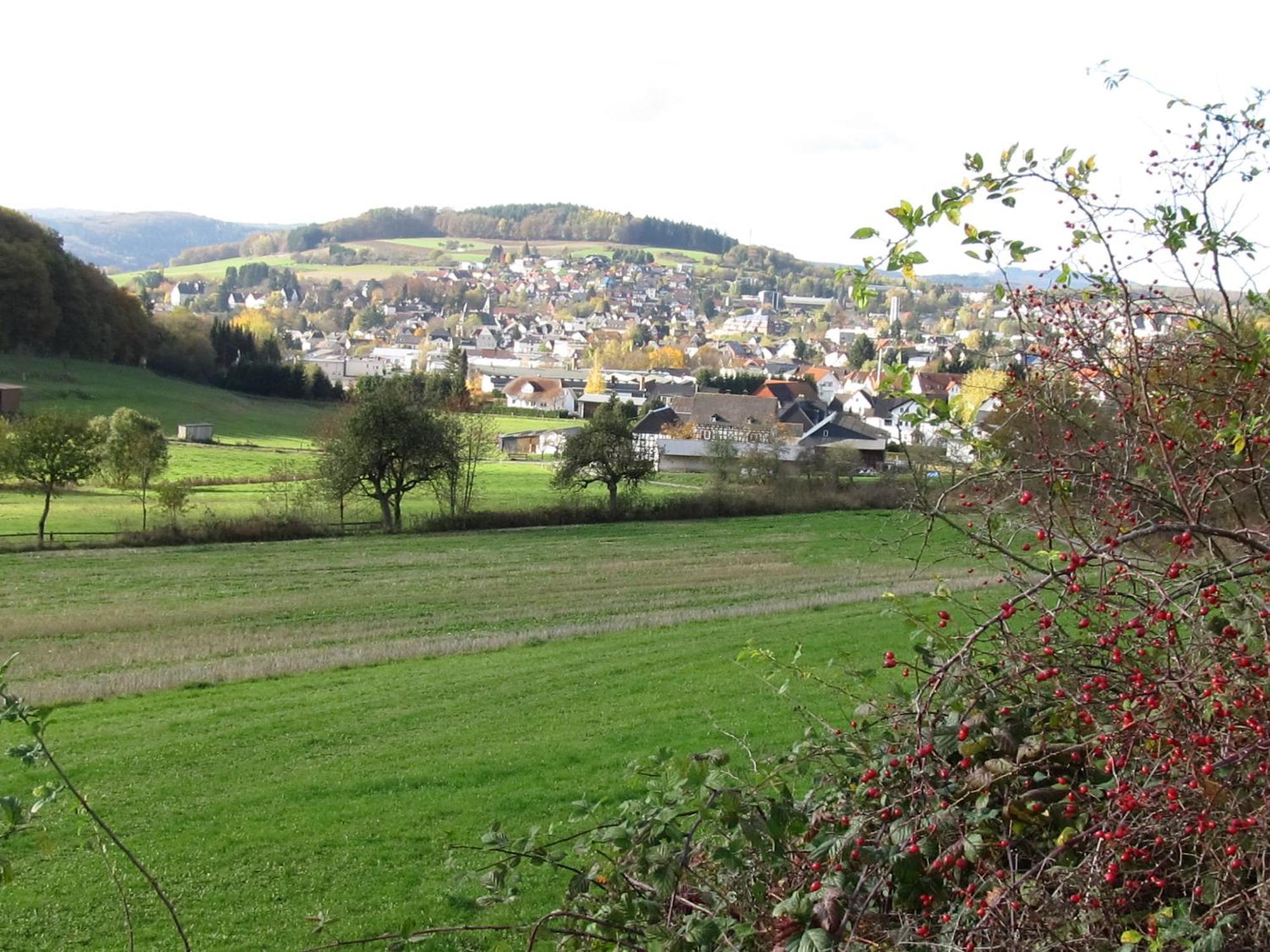 Zum Treppche Hotel Garni Gladenbach Exteriör bild